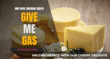 Cheddar's Burping: Unraveling the Mystery of Excessive Gas