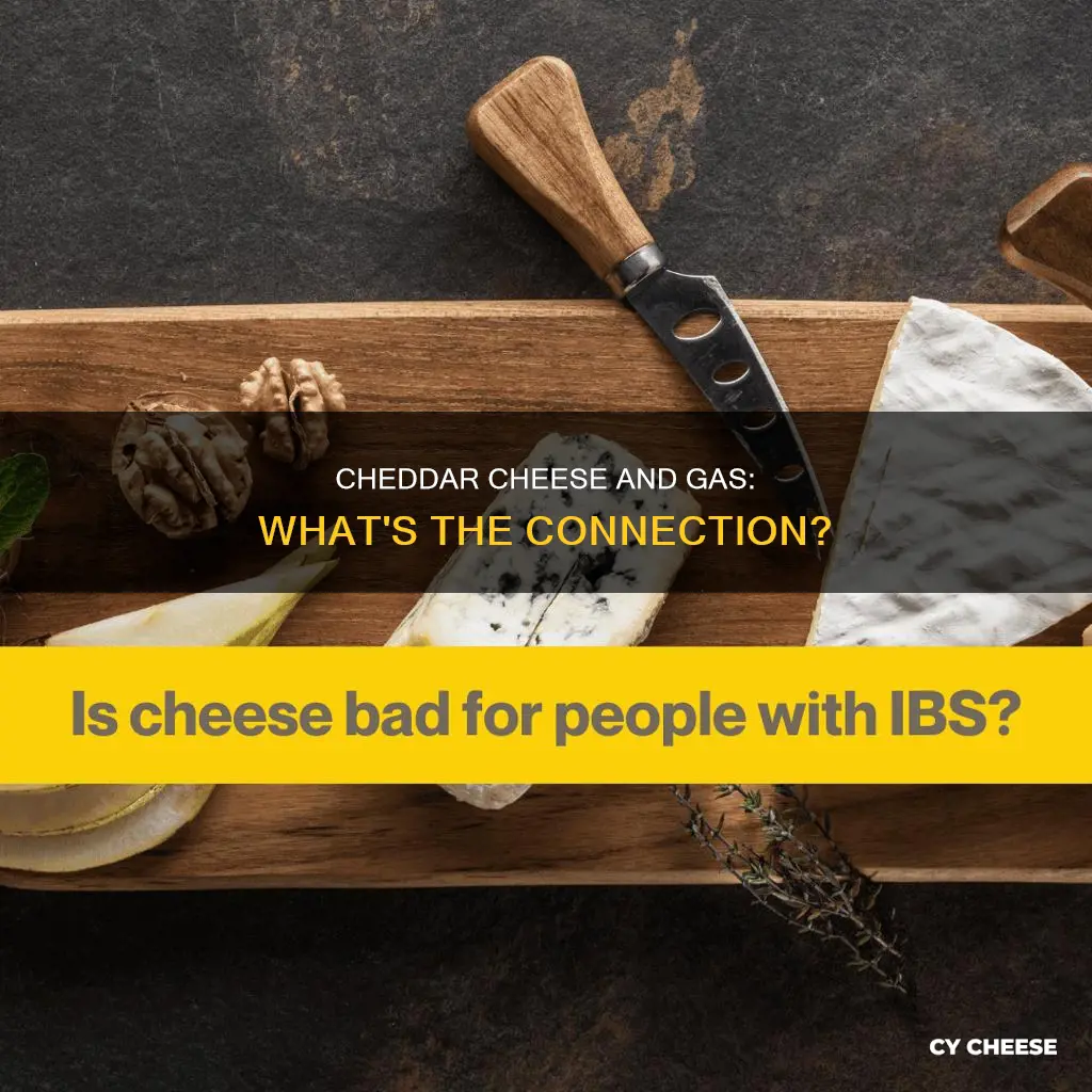 why does cheddar cheese give me gas