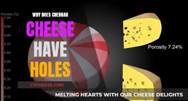 The Surprising Reason Cheddar Cheese Has Holes