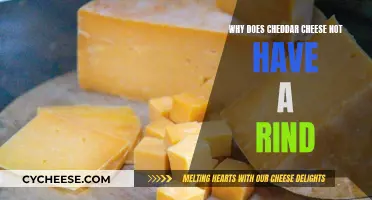 The Cheddar Mystery: Why No Rind?