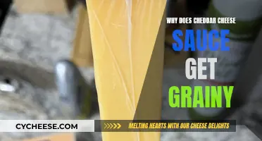 The Science Behind Cheddar's Sticky Sauce: Why It Grains