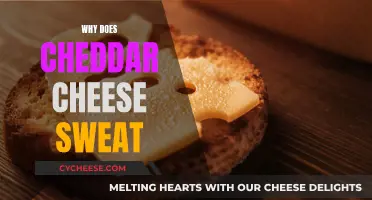 The Surprising Science Behind Cheddar's Melty Mystery