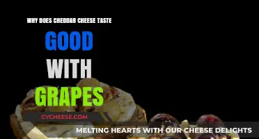 Cheddar and Grapes: The Perfect Pairing Explained