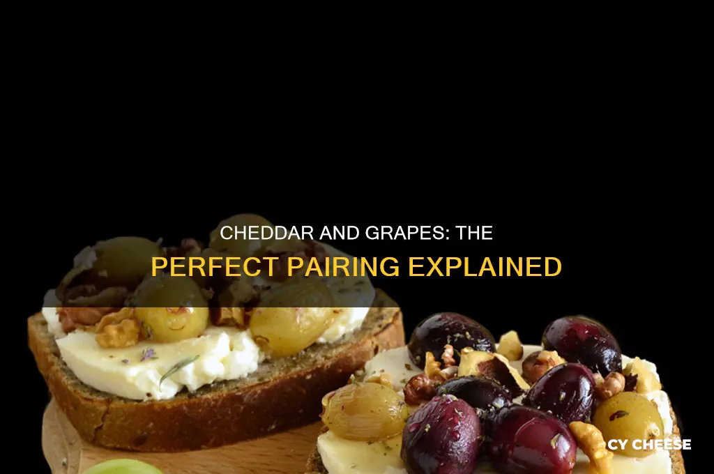 why does cheddar cheese taste good with grapes