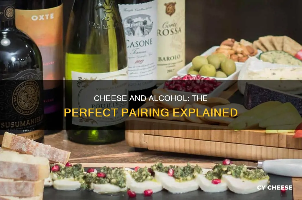 why does cheese and alc