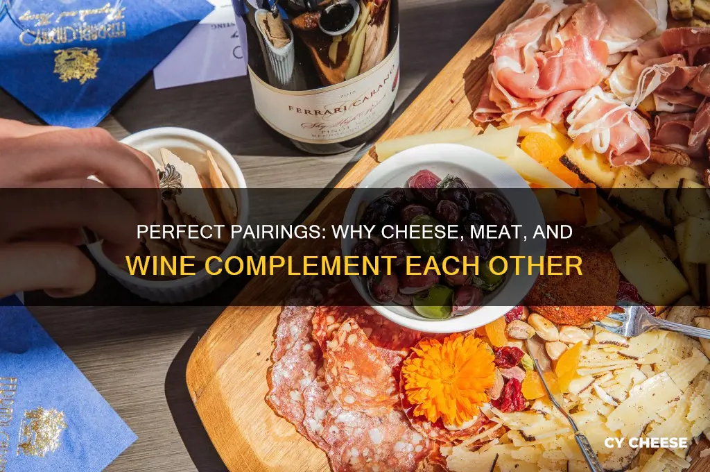 why does cheese and meat go with wine