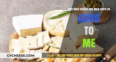 The Irresistible Appeal of Cheese and Milk: Unraveling My Taste Buds' Delight