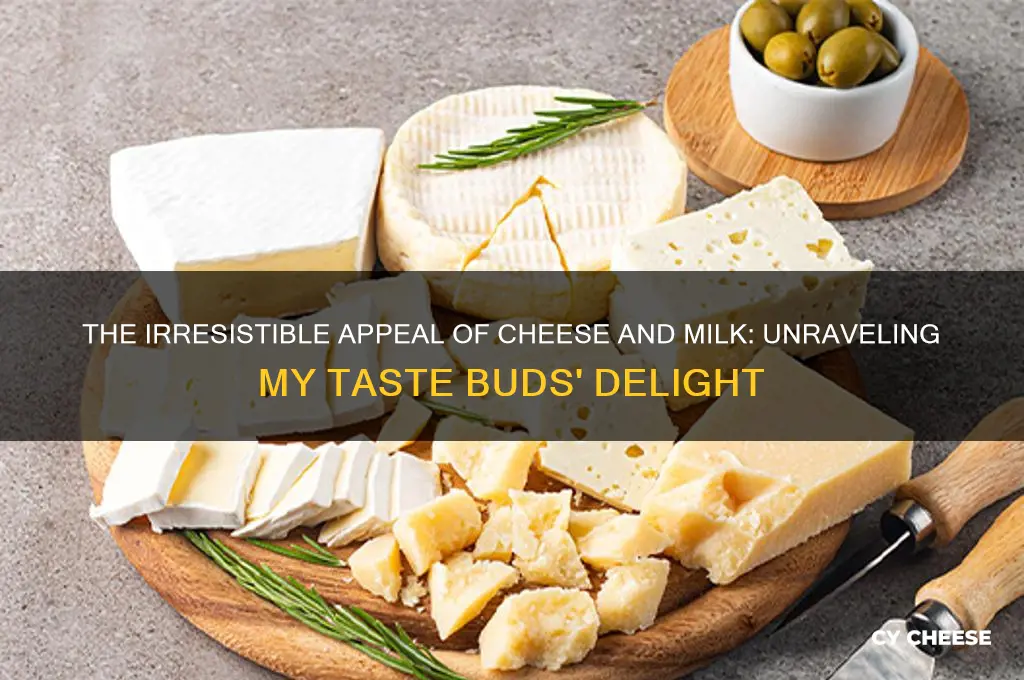why does cheese and milk taste so good to me