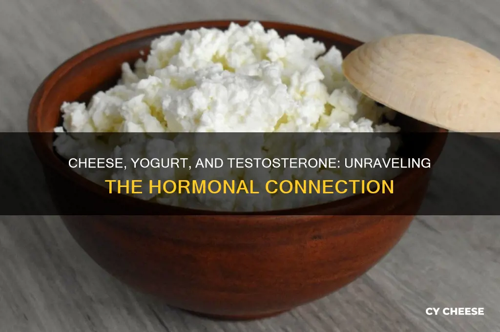 why does cheese and yogurt cause low testerstrone