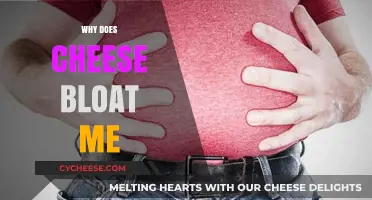 Why Cheese Causes Bloating: Uncovering the Dairy Dilemma