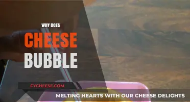 Why Does Cheese Bubble? The Science Behind Melty Magic
