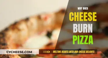 The Science of Melting: Why Cheese Burns on Pizza