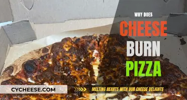 Cheese Burns: Pizza Perfection or Imperfection?