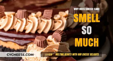 Why Cheesecake's Pungent Aroma Lingers: Uncovering the Smelly Secret