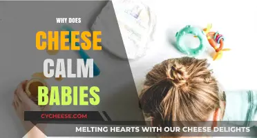 Cheese's Soothing Magic: Unraveling Its Calming Effect on Babies