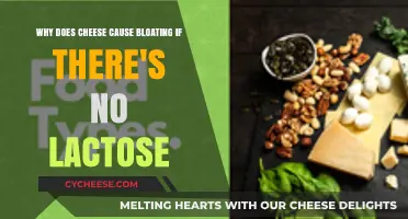 Cheese and Bloating: Uncovering Non-Lactose Causes of Discomfort