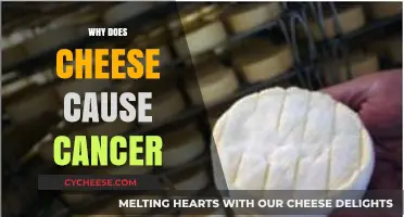 Cheese and Cancer: Unraveling the Surprising Health Risks