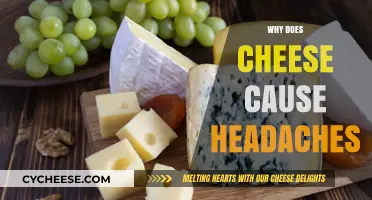 Cheese and Headaches: Unraveling the Surprising Connection Behind the Pain