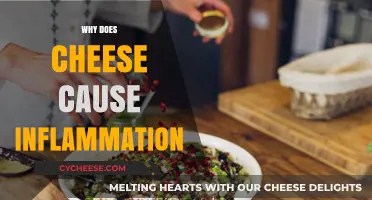 Cheese and Inflammation: Uncovering the Surprising Connection to Your Health