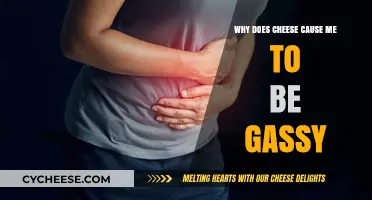 Why Cheese Makes You Gassy: Uncovering the Dairy Dilemma