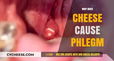 Cheese and Phlegm: Unraveling the Sticky Connection in Your Throat
