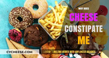 Why Cheese Causes Constipation: Understanding Dairy's Impact on Digestion