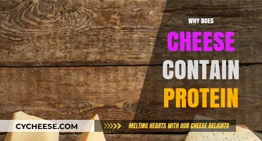 Why Cheese is a Surprising High-Protein Food Choice