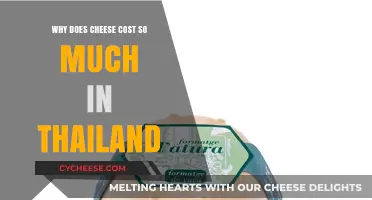 Why Thailand's Cheese Prices Are Skyrocketing: A Costly Dairy Dilemma