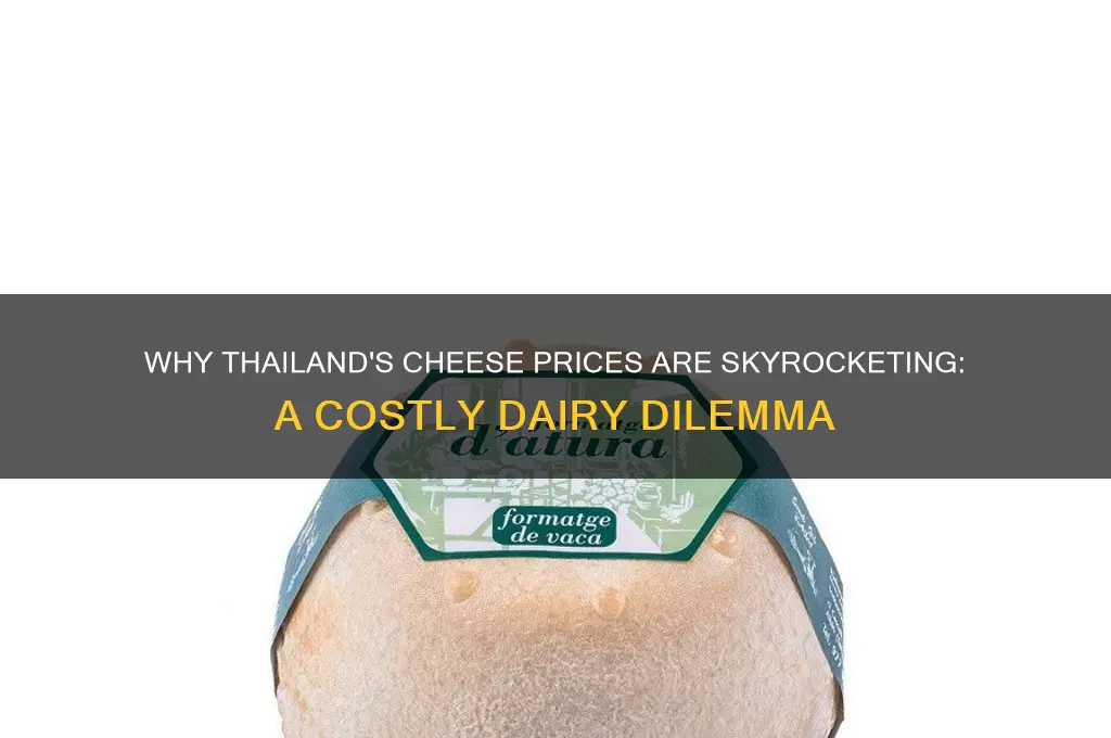 why does cheese cost so much in thailand