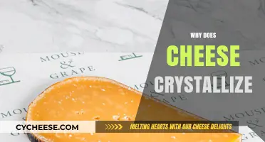 Why Cheese Crystallizes: Exploring the Science Behind Crunchy Bits