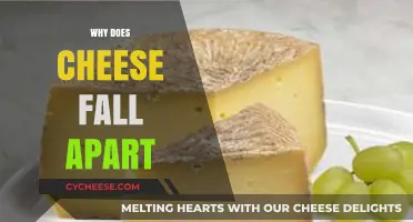 Why Does Cheese Crumble? Understanding the Science Behind Its Texture