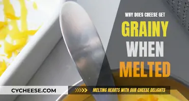 The Mystery of Grainy, Melted Cheese: What's Happening?