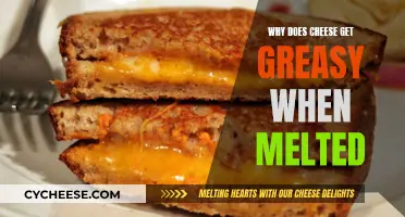 Cheese Science: Melting Greasiness Explained