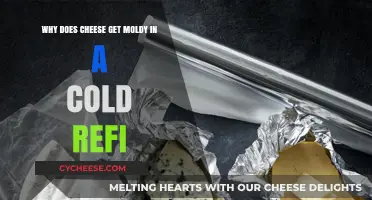 Cheese Mold in the Fridge: Why Does it Happen?