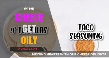 Cheese Secrets: Why Oil Forms on Surface