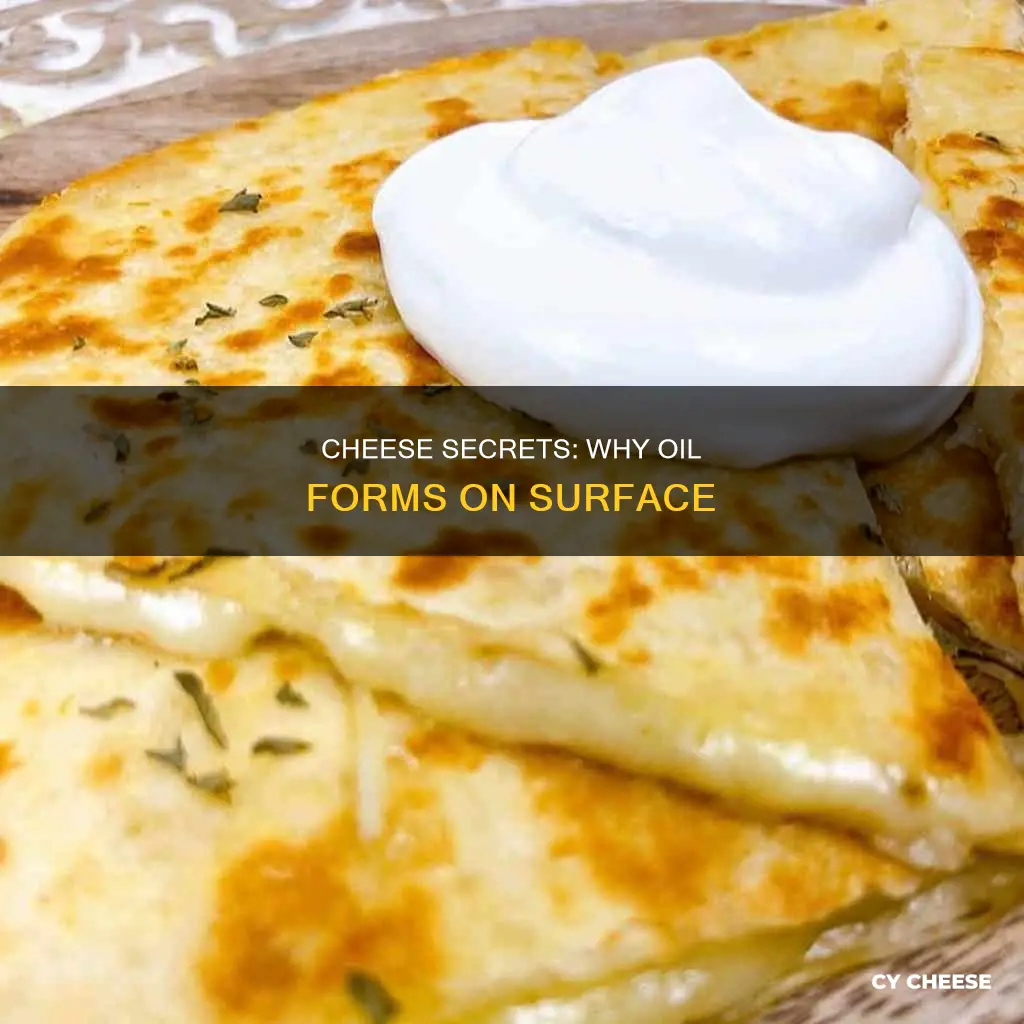 why does cheese get oily