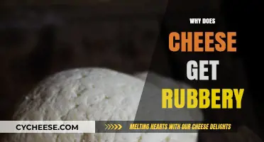 The Science Behind Rubber Cheese: Why Does It Happen?