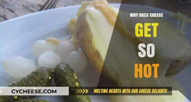 Cheese Meltdown: Why It Gets So Hot