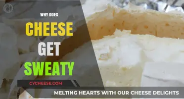 Cheese Perspiration: Why Does it Sweat?