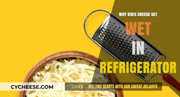 Cheese Moisture: Why Does Fridge Storage Affect Cheese?