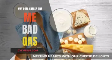 Cheese and Gas: The Science Behind It