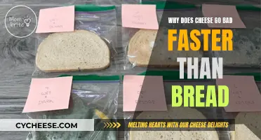 Cheese's Quick Demise: Why It Beats Bread
