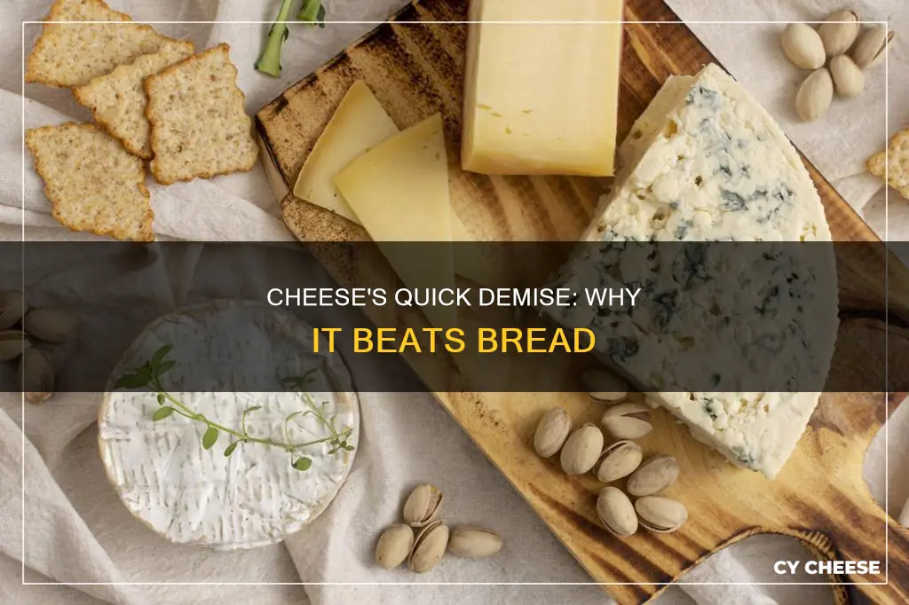 why does cheese go bad faster than bread