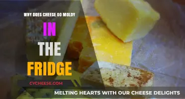 Why Does Cheese Mold in the Fridge? Causes and Prevention Tips