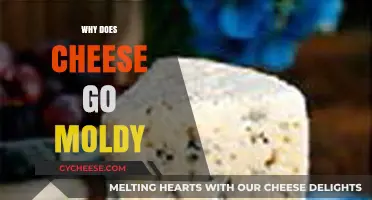 Why Cheese Molds: Understanding the Science Behind Spoilage