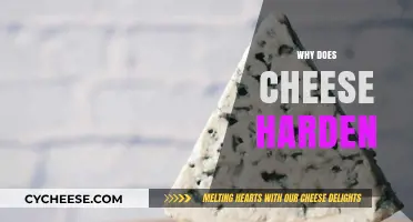 Why Cheese Hardens: Uncovering the Science Behind Texture Changes