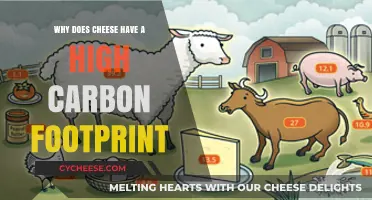 Cheese's Hidden Cost: Uncovering Its High Carbon Footprint Impact