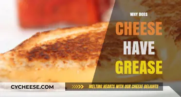 Why Cheese Gets Greasy: Understanding the Science Behind the Fat
