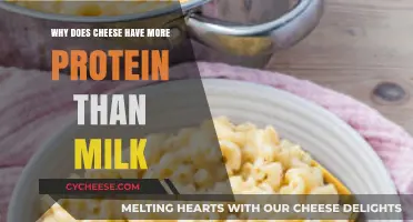 Cheese vs. Milk: Uncovering the Higher Protein Content Mystery