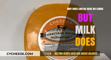 Cheese and Milk: Carbohydrate Mystery Solved